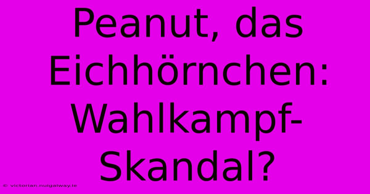 Peanut, Das Eichhörnchen: Wahlkampf-Skandal?