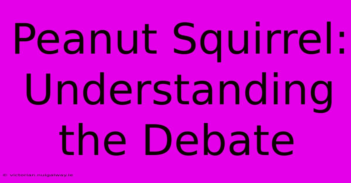 Peanut Squirrel: Understanding The Debate