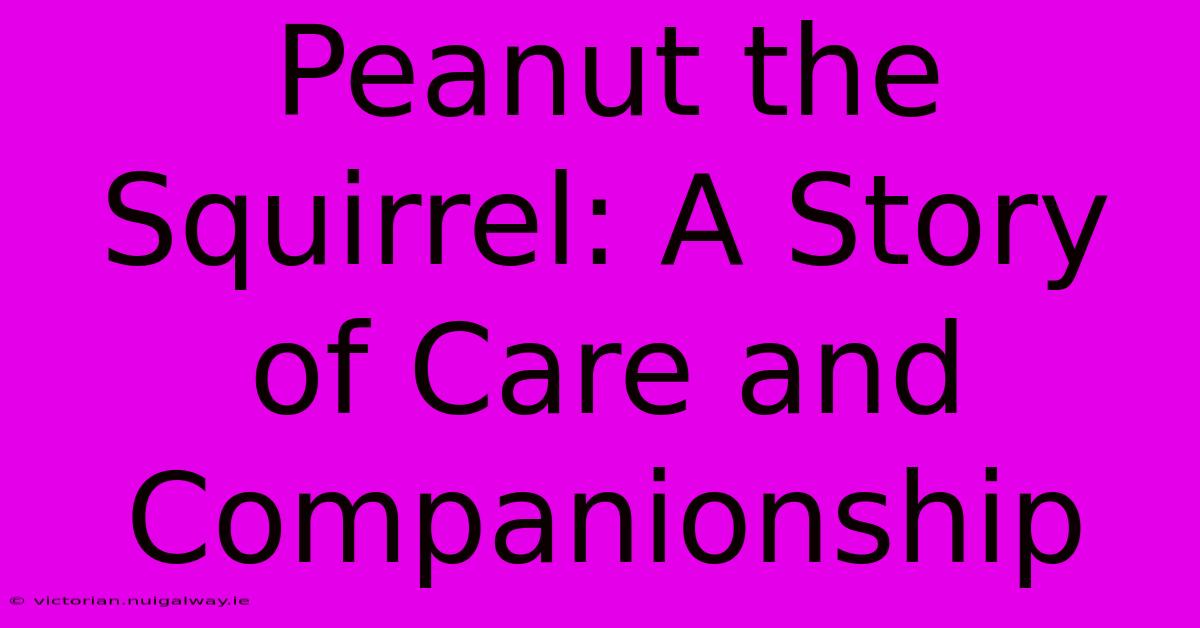 Peanut The Squirrel: A Story Of Care And Companionship 