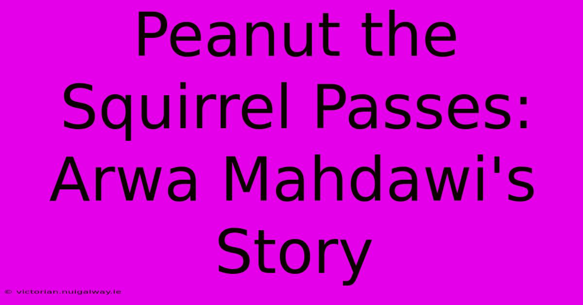 Peanut The Squirrel Passes: Arwa Mahdawi's Story