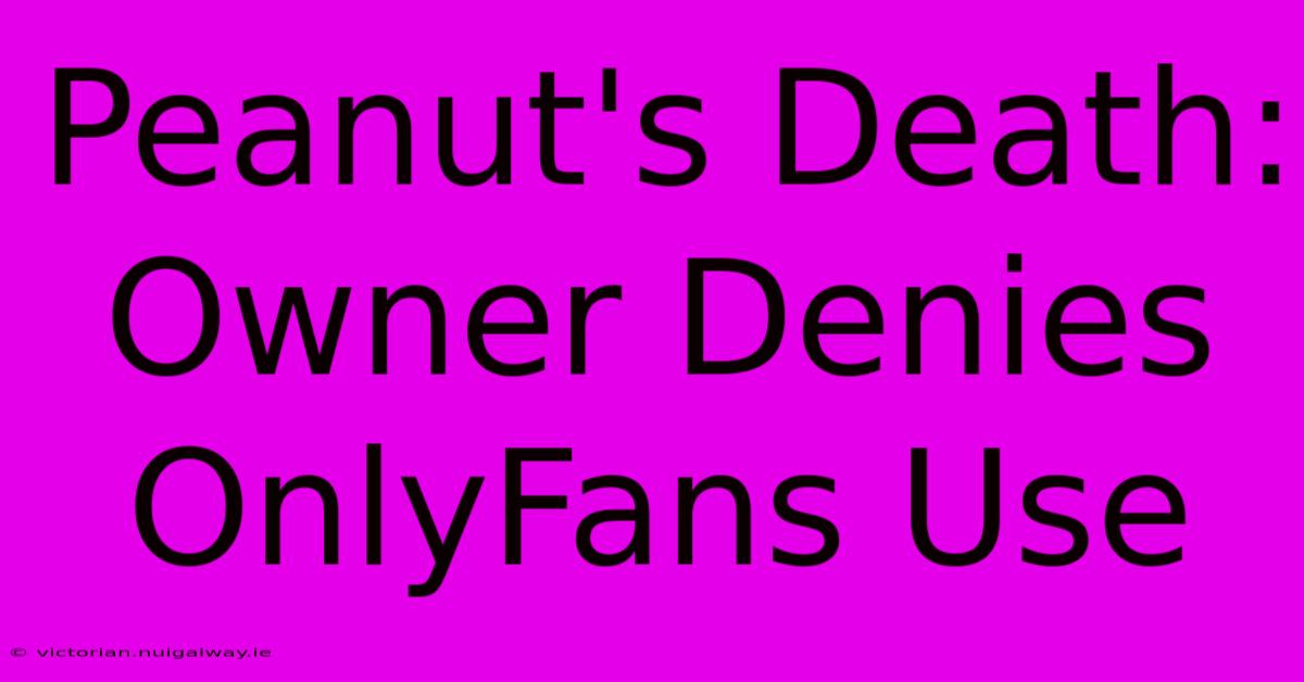 Peanut's Death: Owner Denies OnlyFans Use 