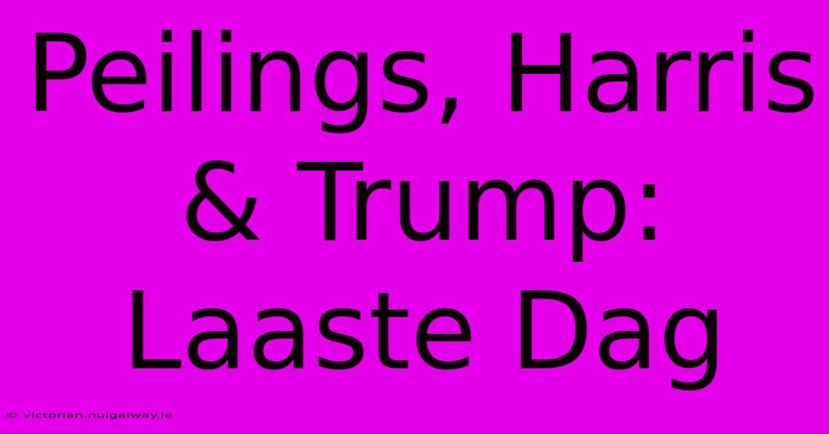 Peilings, Harris & Trump: Laaste Dag