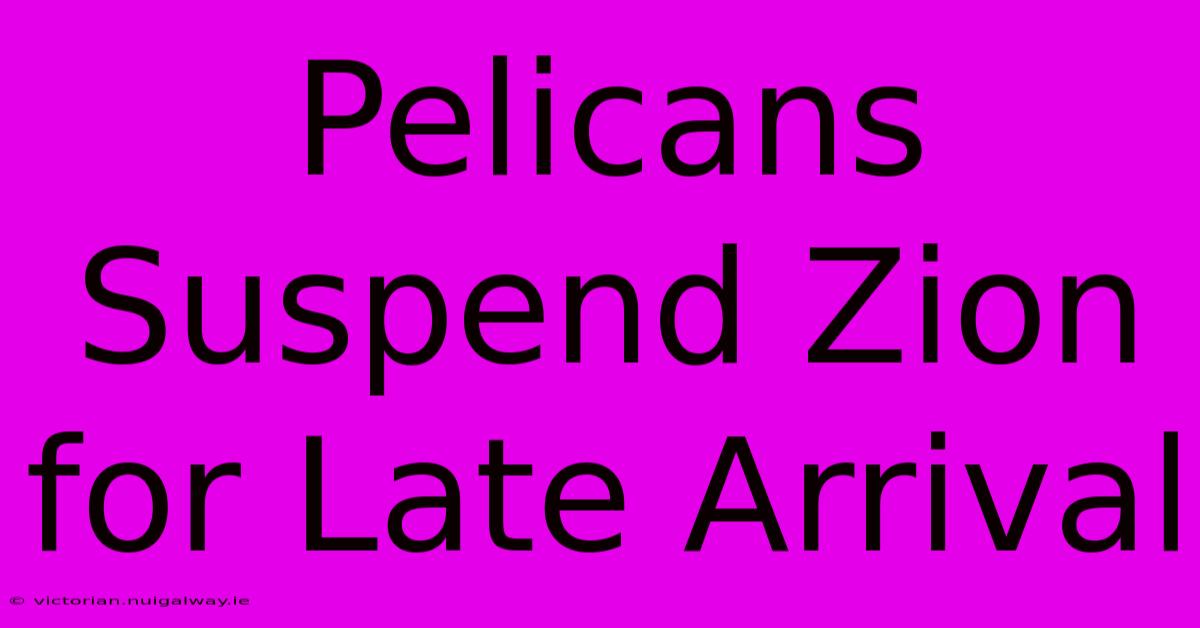 Pelicans Suspend Zion For Late Arrival