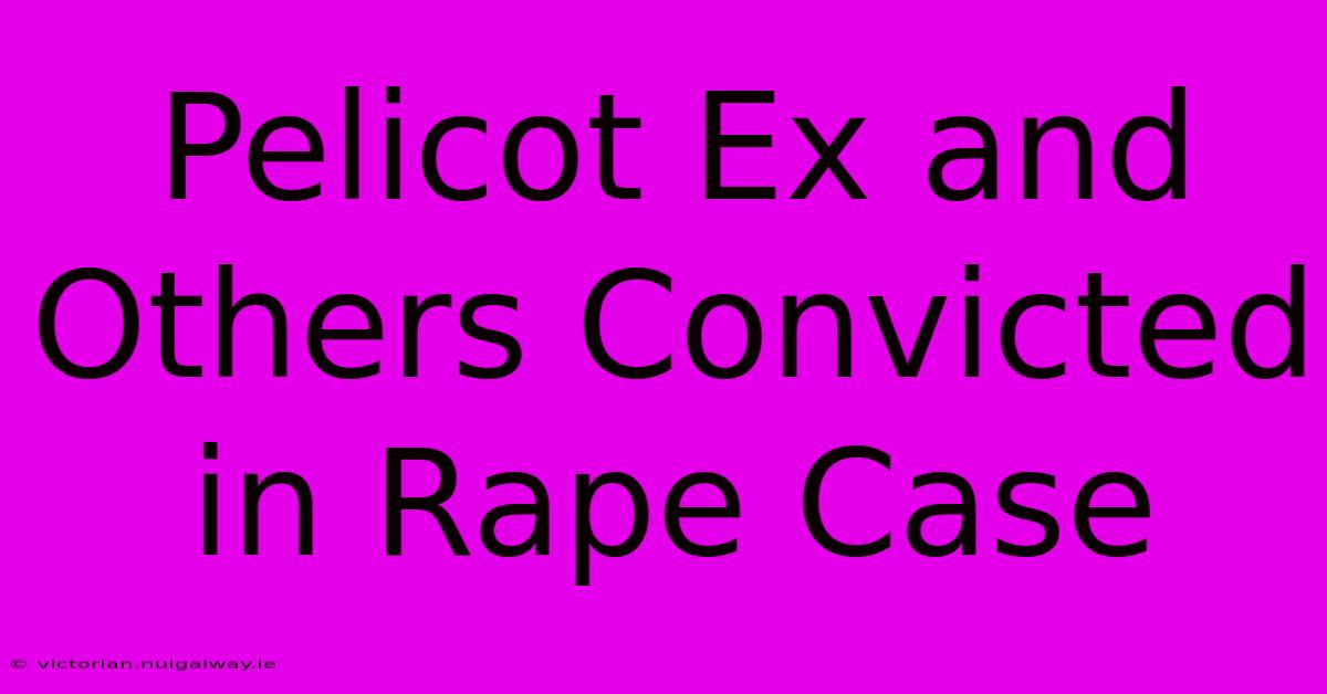 Pelicot Ex And Others Convicted In Rape Case