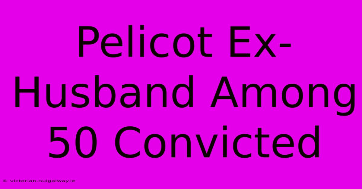 Pelicot Ex-Husband Among 50 Convicted