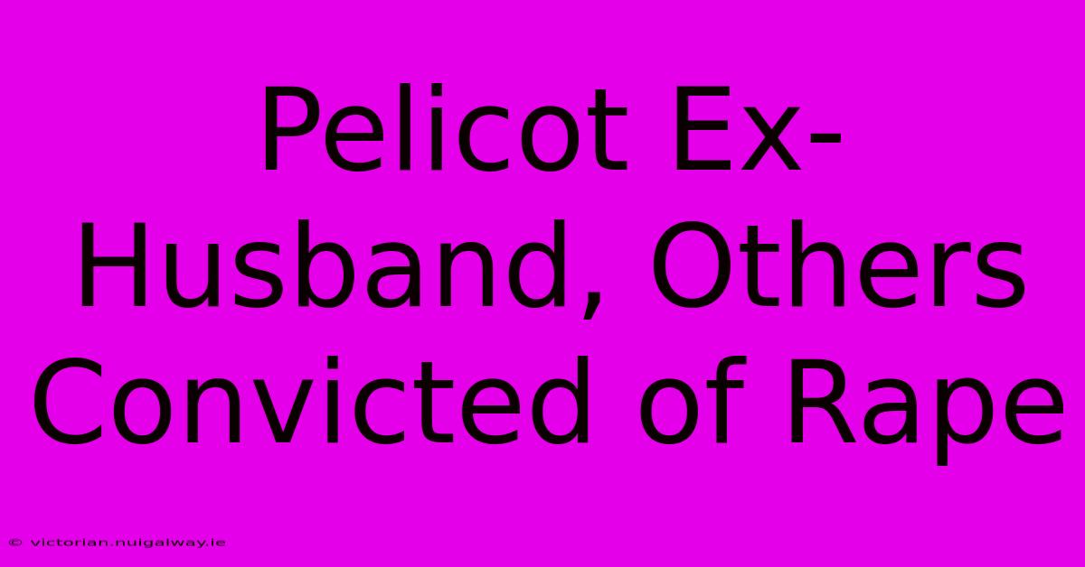 Pelicot Ex-Husband, Others Convicted Of Rape