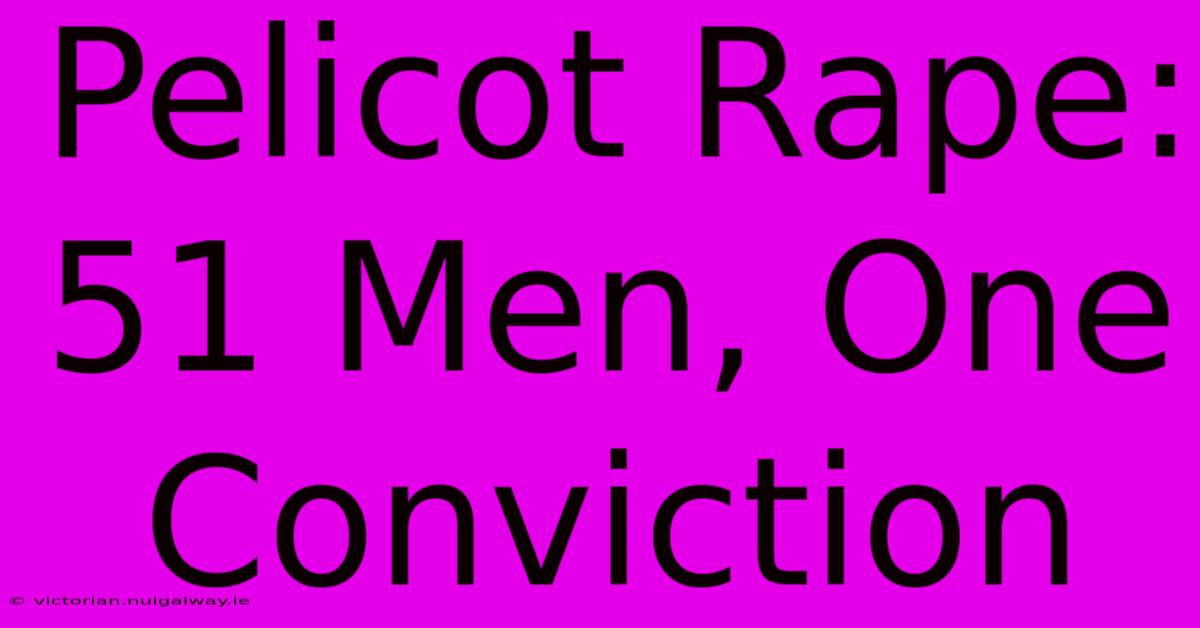 Pelicot Rape: 51 Men, One Conviction