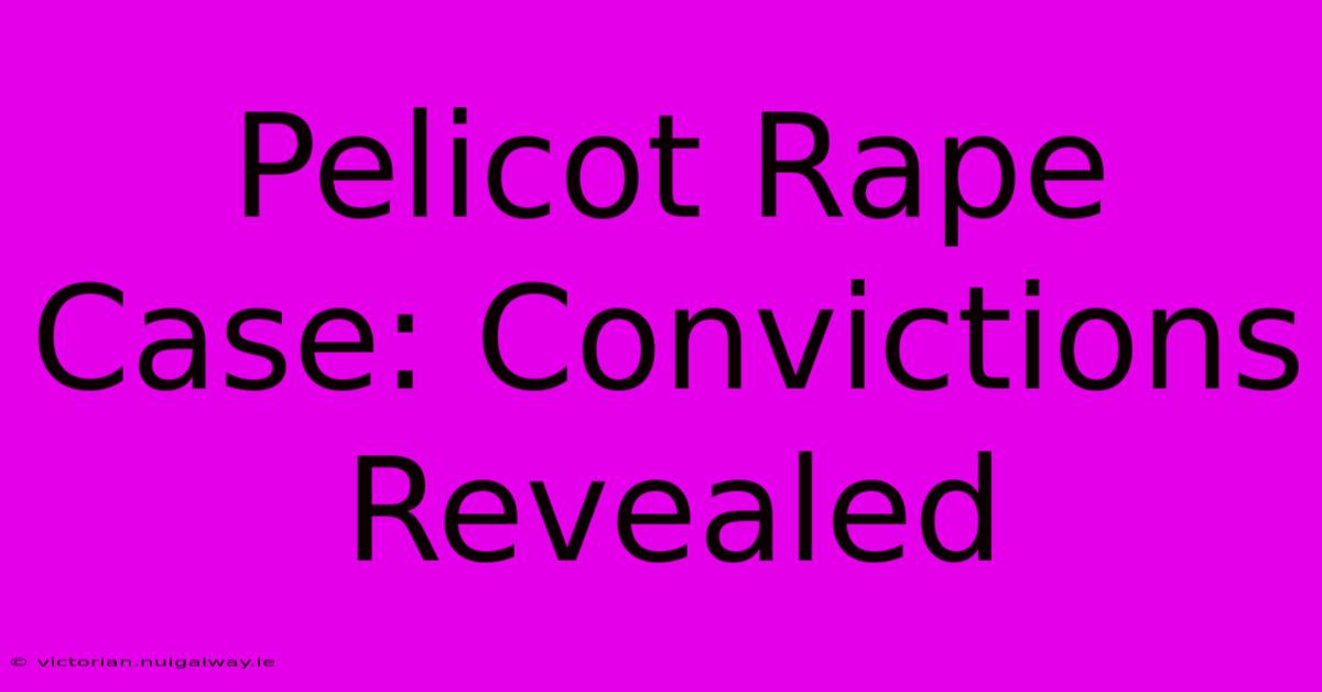 Pelicot Rape Case: Convictions Revealed