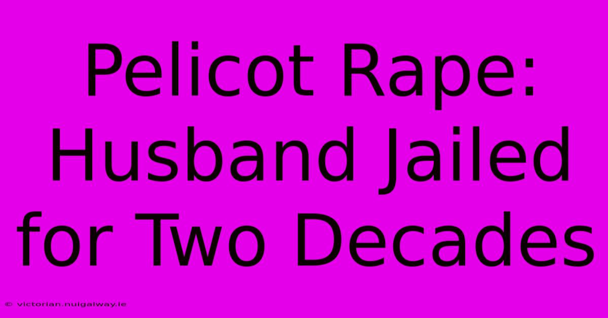 Pelicot Rape: Husband Jailed For Two Decades