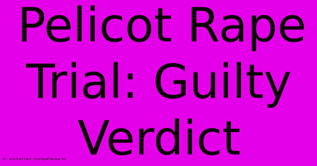 Pelicot Rape Trial: Guilty Verdict