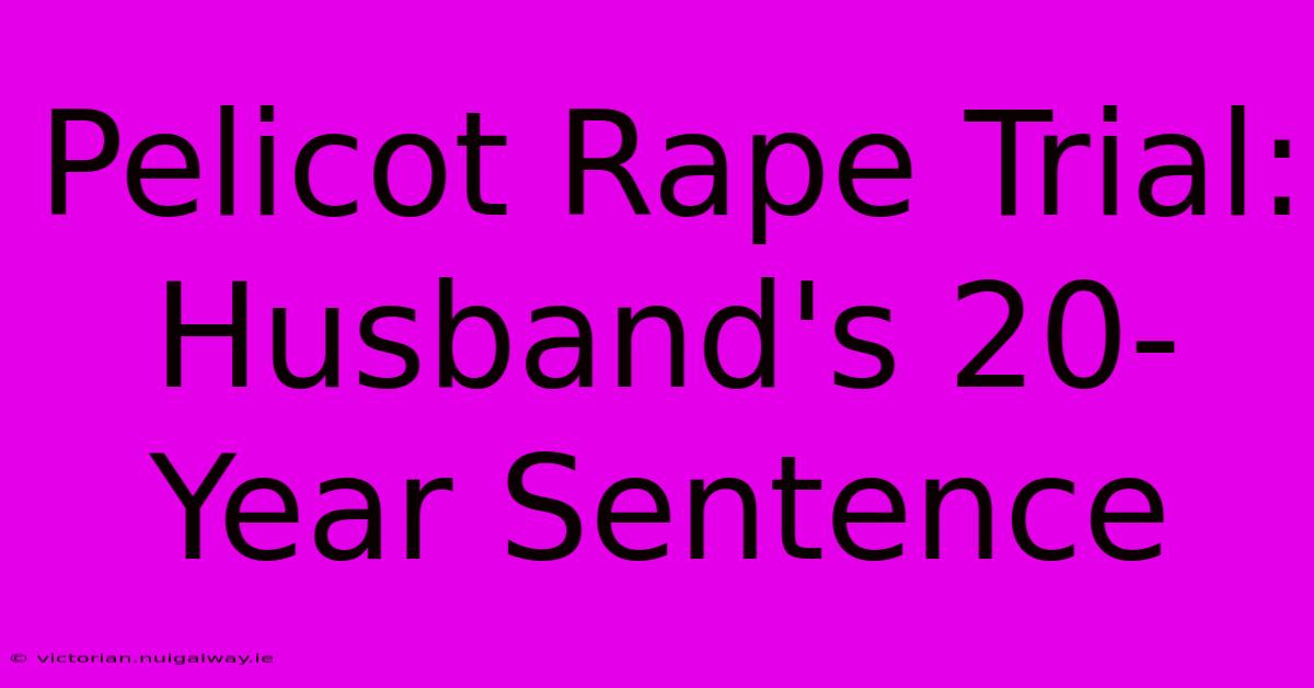 Pelicot Rape Trial: Husband's 20-Year Sentence