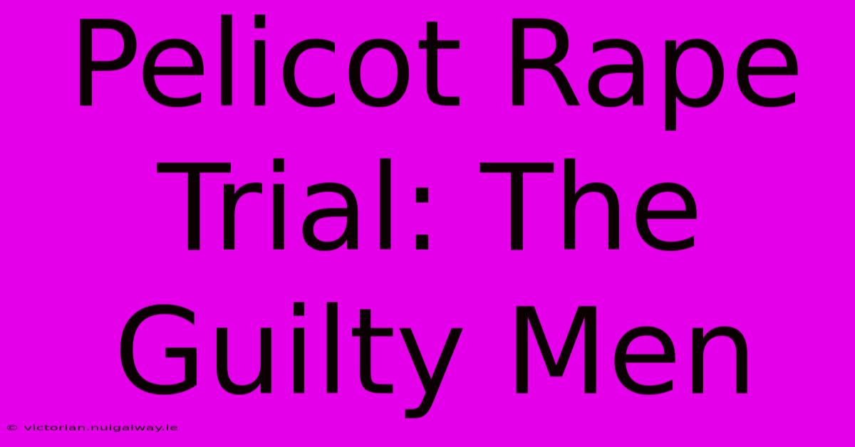 Pelicot Rape Trial: The Guilty Men