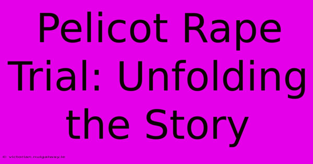 Pelicot Rape Trial: Unfolding The Story