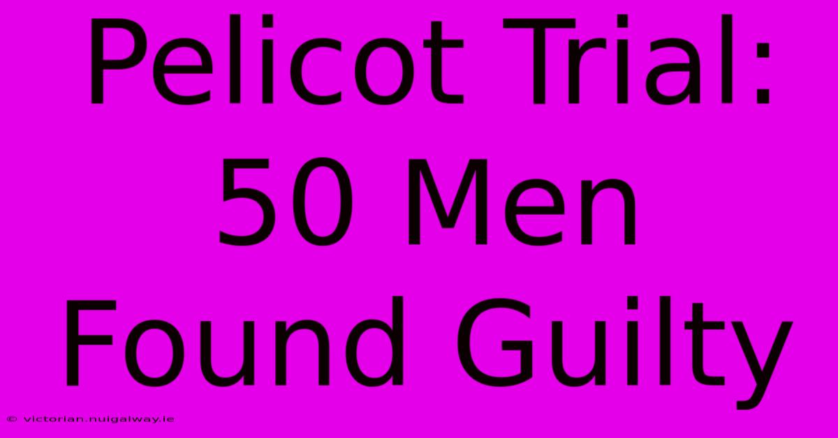 Pelicot Trial: 50 Men Found Guilty