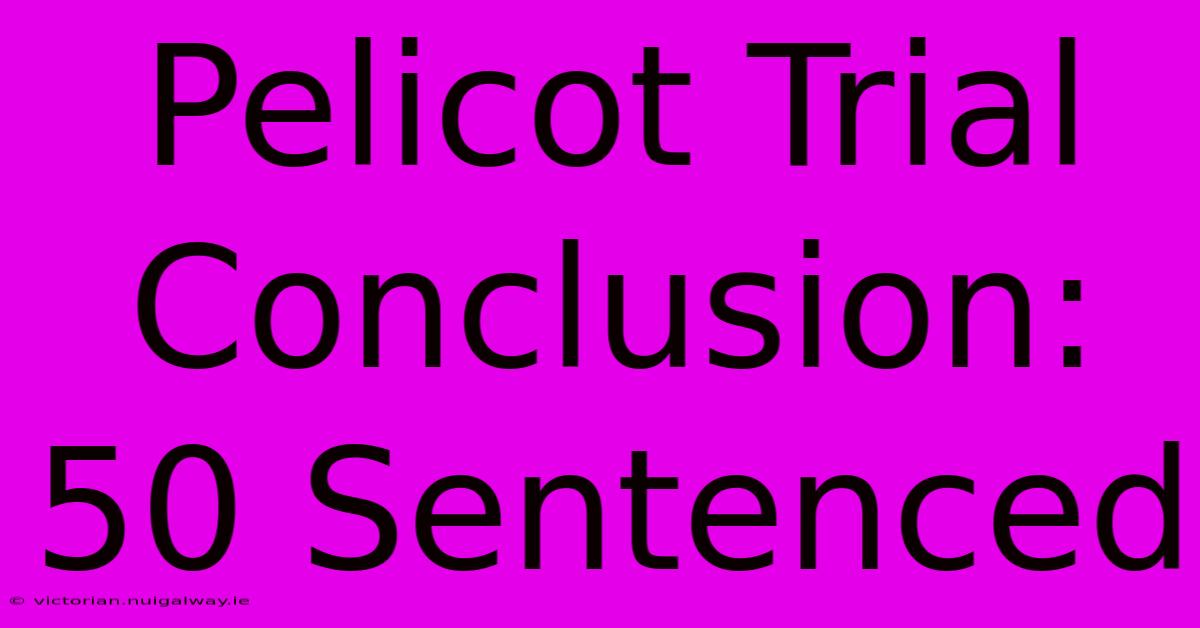 Pelicot Trial Conclusion: 50 Sentenced