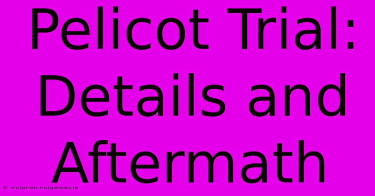 Pelicot Trial: Details And Aftermath