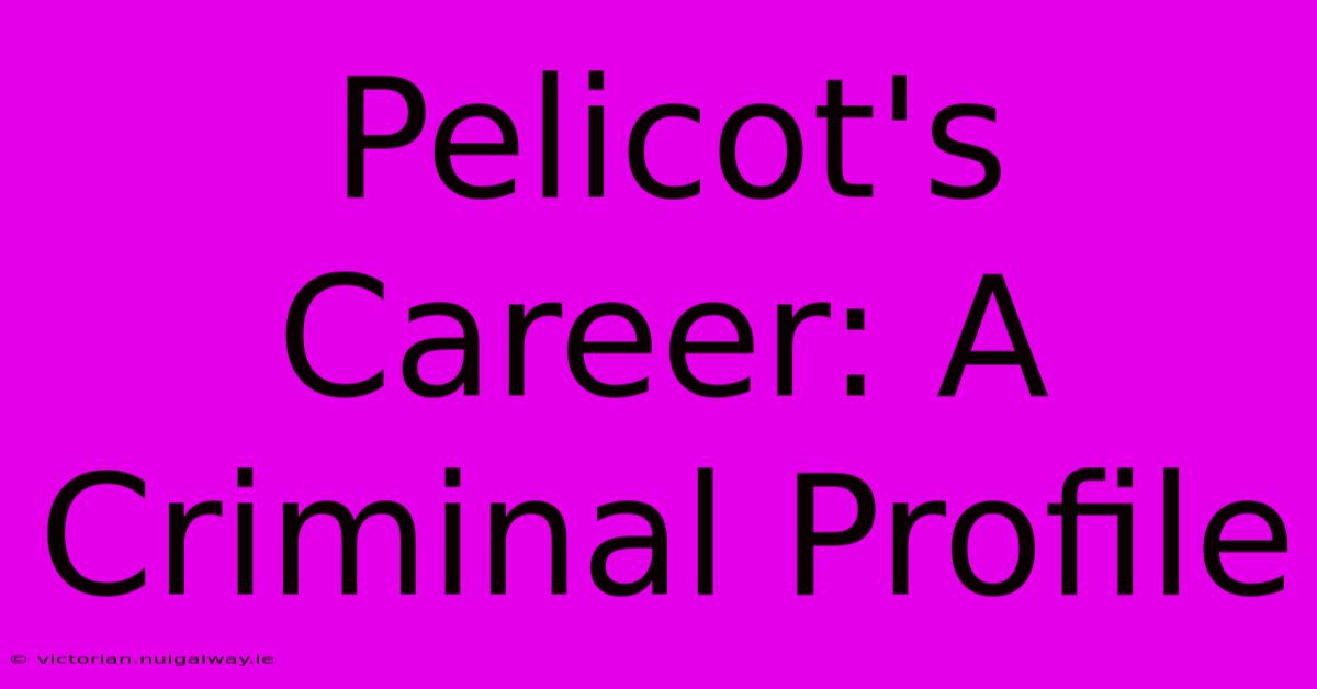 Pelicot's Career: A Criminal Profile