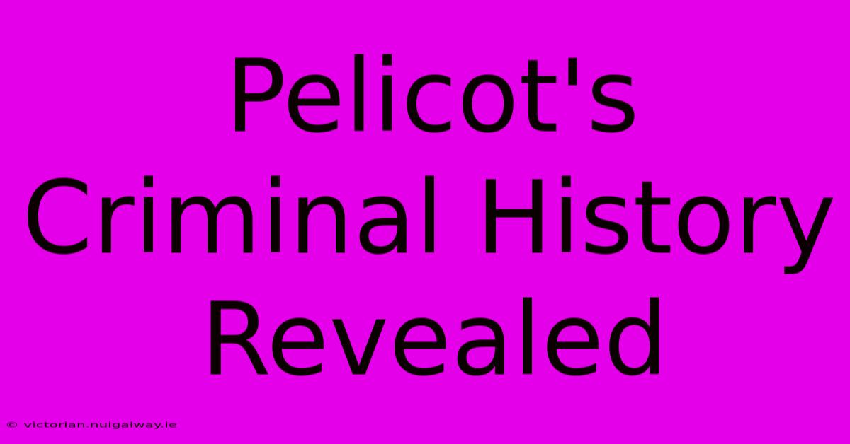 Pelicot's Criminal History Revealed