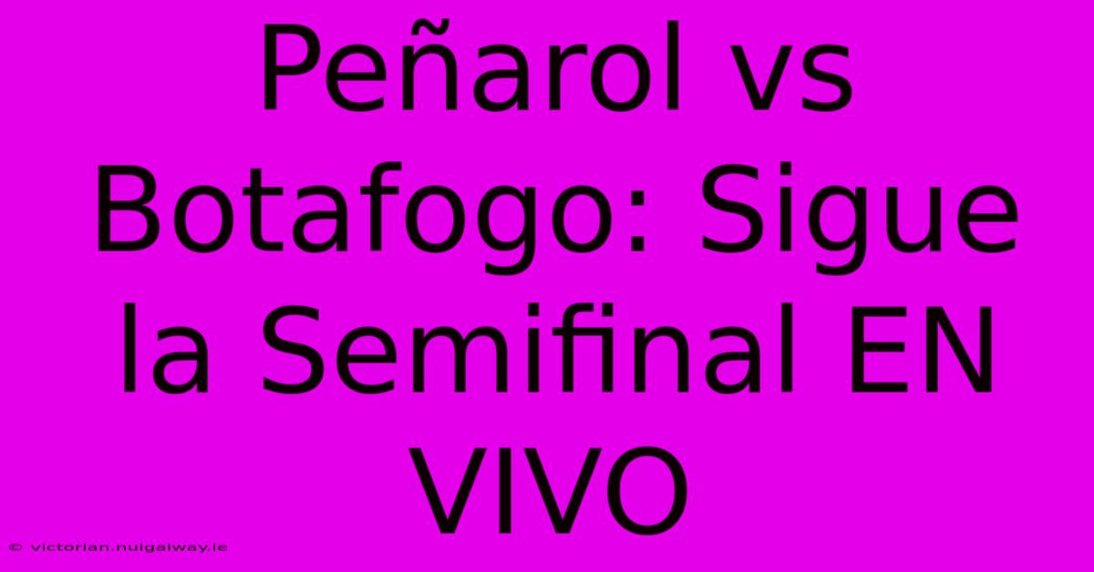 Peñarol Vs Botafogo: Sigue La Semifinal EN VIVO 