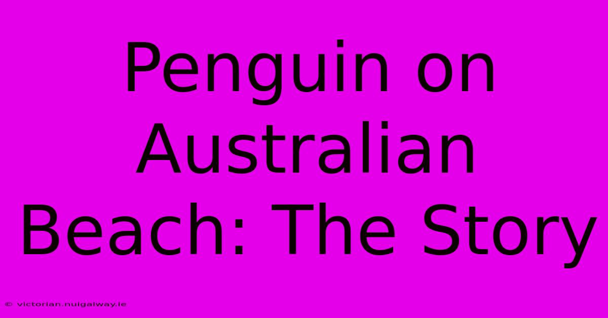 Penguin On Australian Beach: The Story