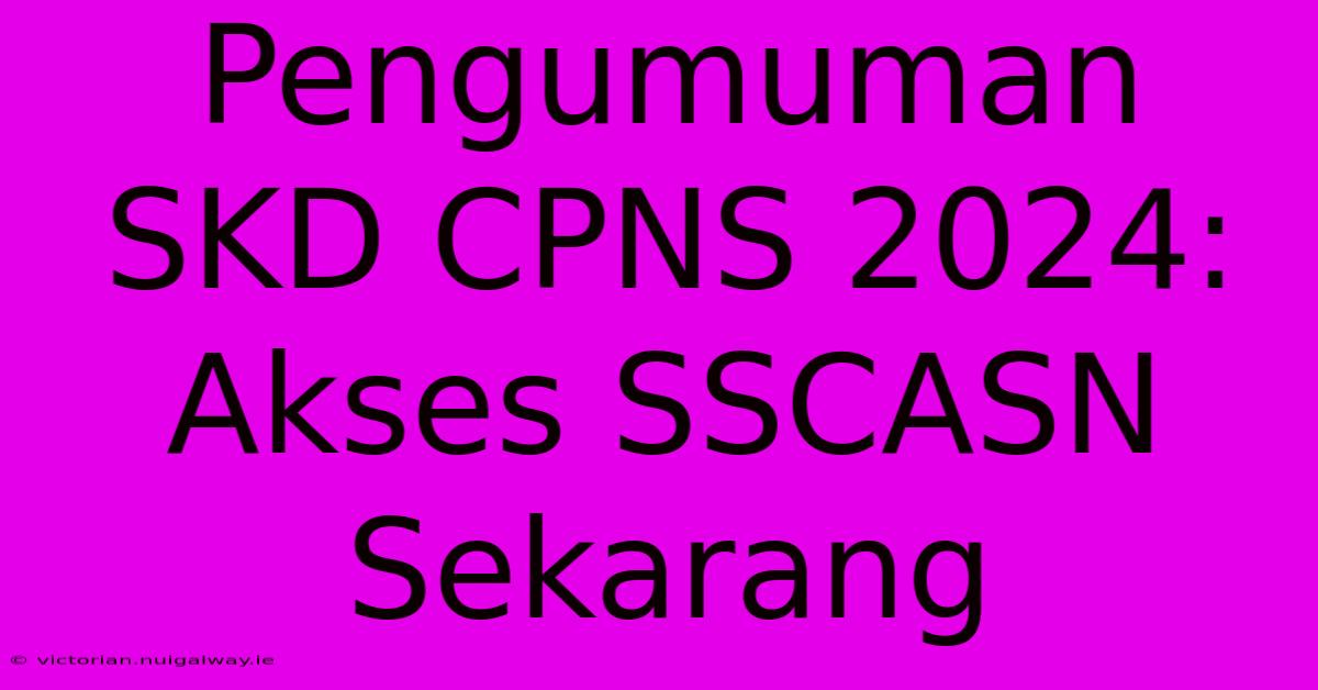 Pengumuman SKD CPNS 2024: Akses SSCASN Sekarang