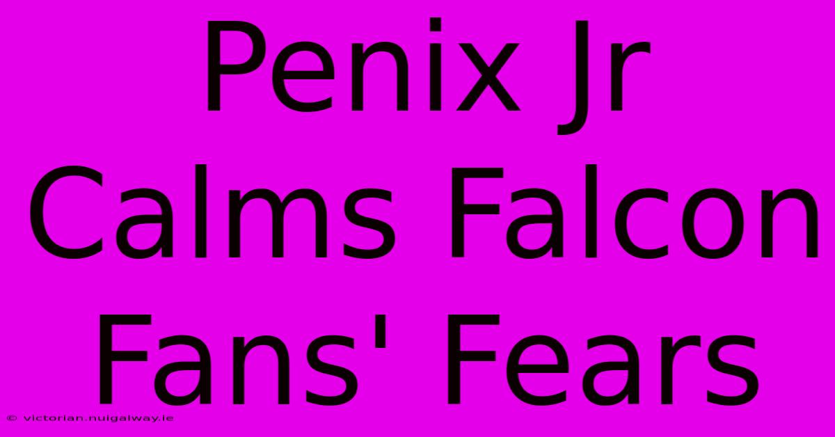 Penix Jr Calms Falcon Fans' Fears