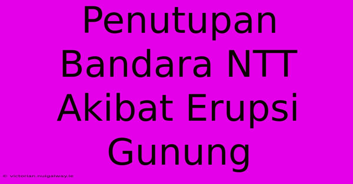 Penutupan Bandara NTT Akibat Erupsi Gunung