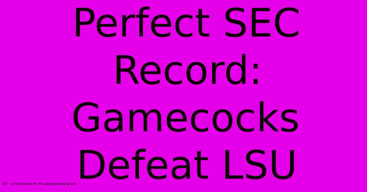 Perfect SEC Record: Gamecocks Defeat LSU