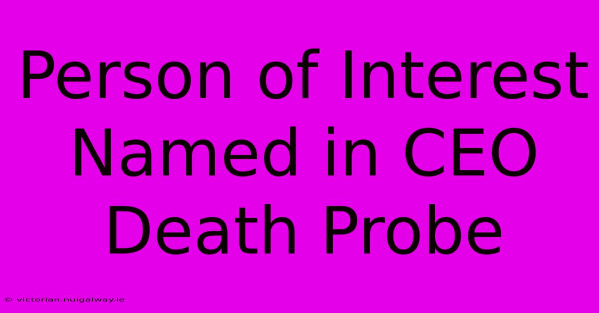 Person Of Interest Named In CEO Death Probe