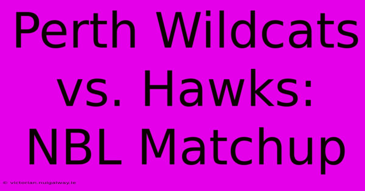 Perth Wildcats Vs. Hawks: NBL Matchup