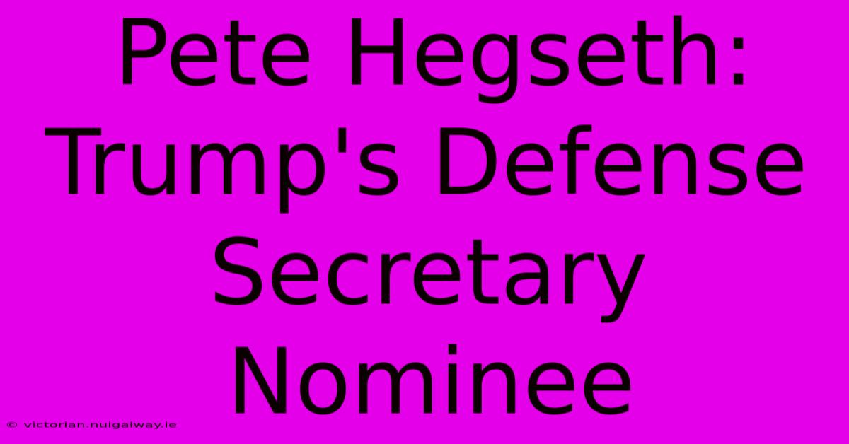 Pete Hegseth:  Trump's Defense Secretary Nominee