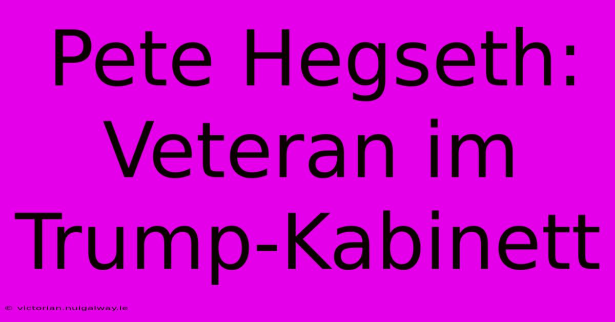 Pete Hegseth: Veteran Im Trump-Kabinett