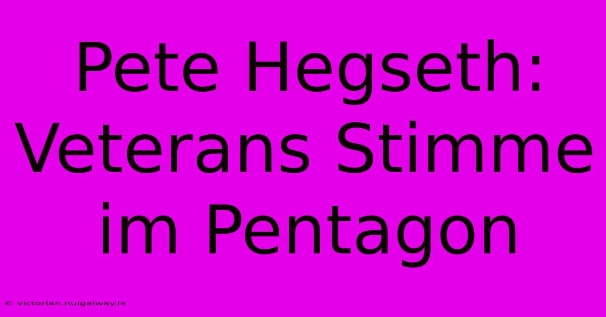 Pete Hegseth: Veterans Stimme Im Pentagon