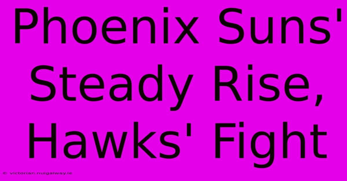 Phoenix Suns' Steady Rise, Hawks' Fight