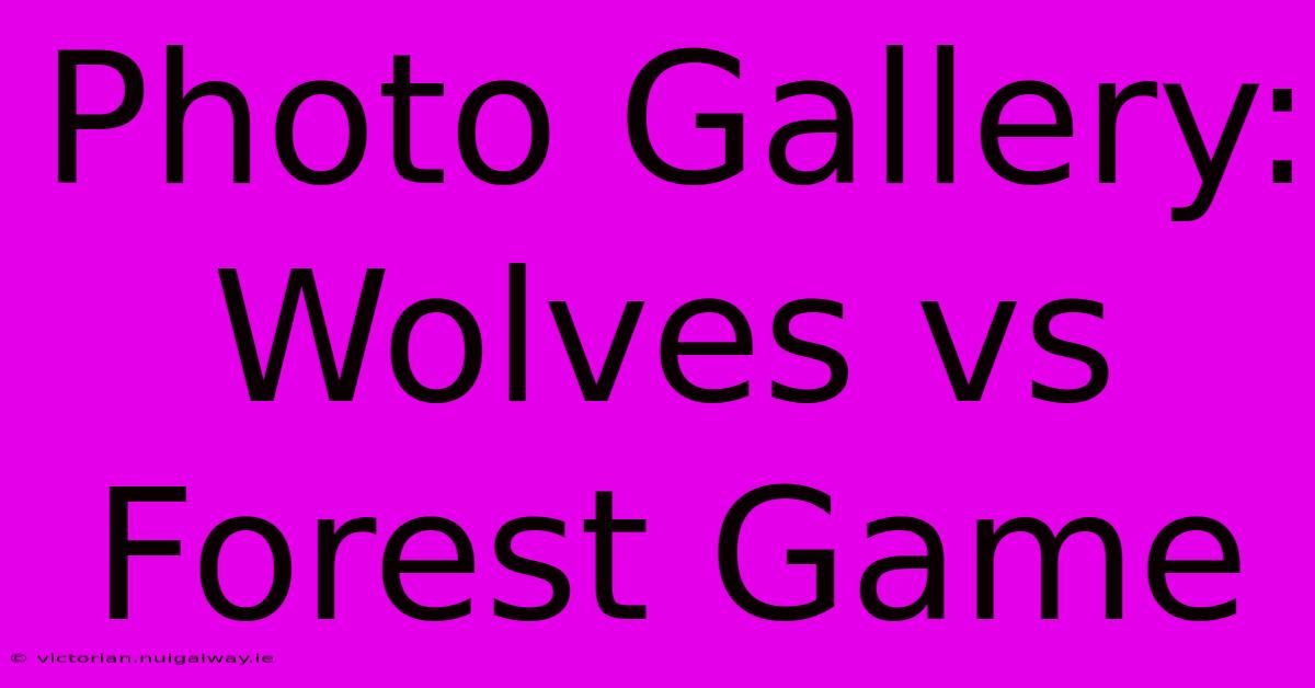 Photo Gallery: Wolves Vs Forest Game