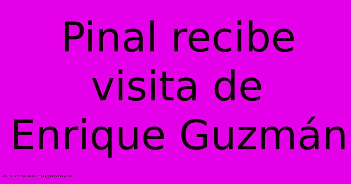 Pinal Recibe Visita De Enrique Guzmán