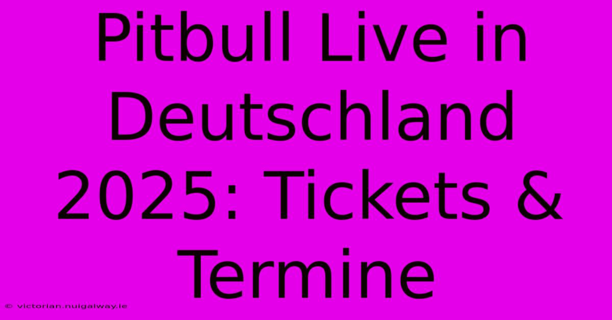 Pitbull Live In Deutschland 2025: Tickets & Termine 