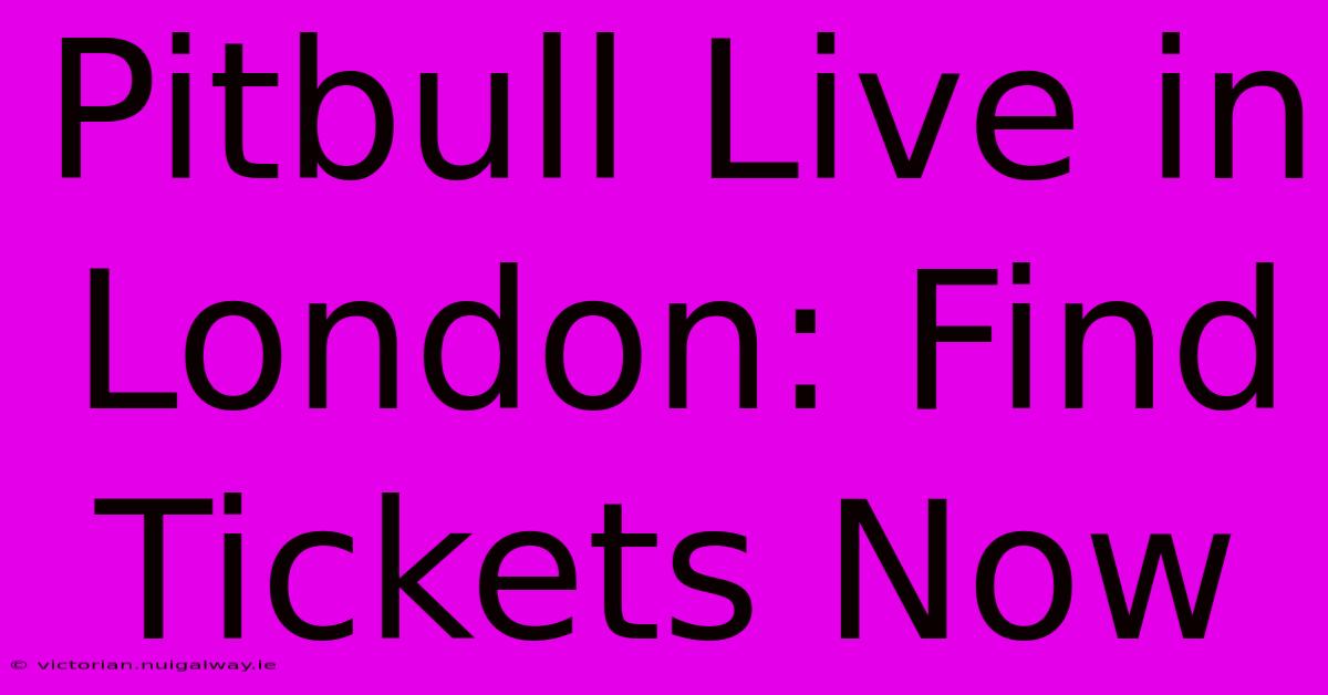 Pitbull Live In London: Find Tickets Now