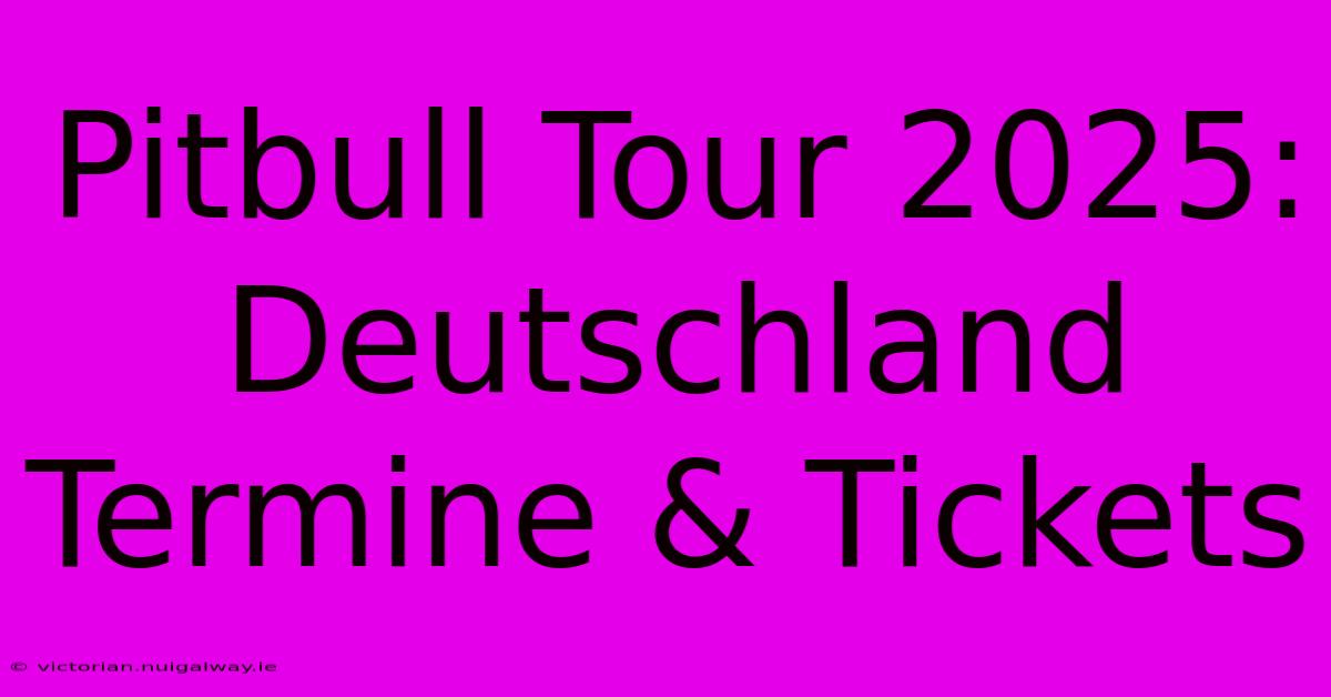 Pitbull Tour 2025: Deutschland Termine & Tickets