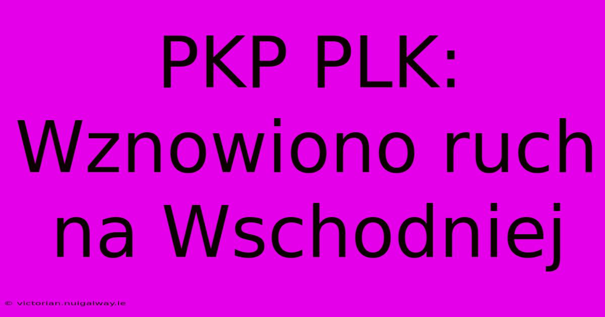 PKP PLK: Wznowiono Ruch Na Wschodniej