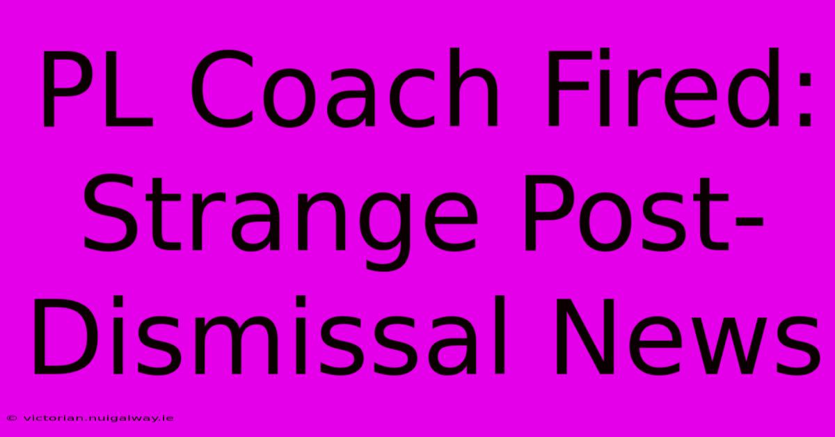 PL Coach Fired: Strange Post-Dismissal News