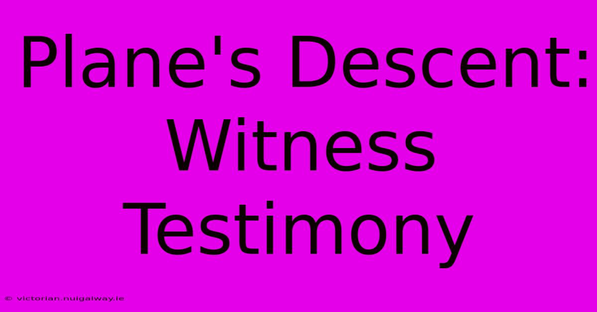 Plane's Descent: Witness Testimony