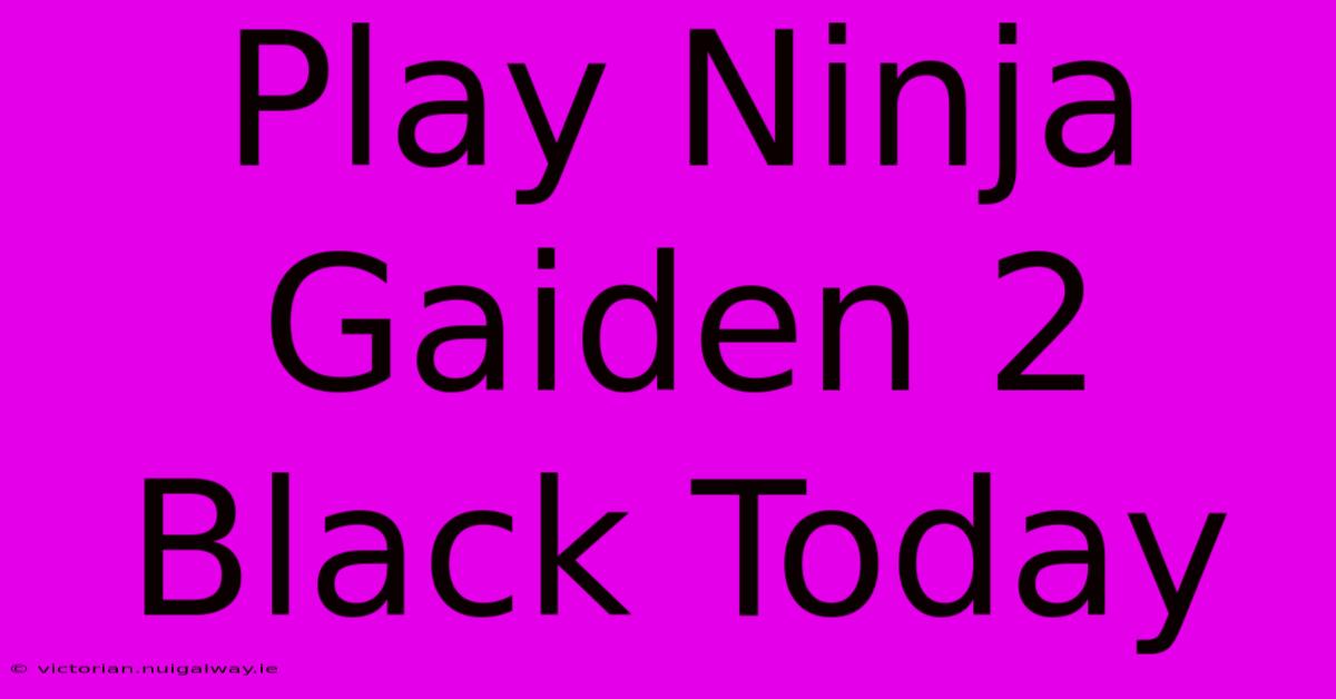 Play Ninja Gaiden 2 Black Today