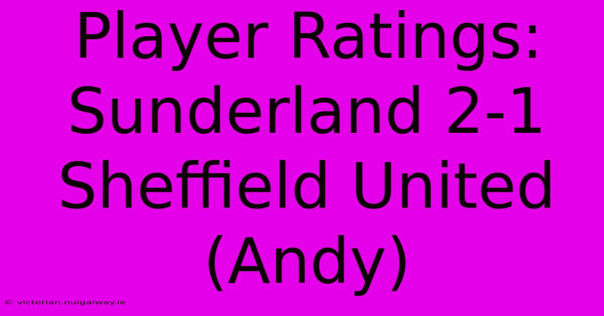 Player Ratings: Sunderland 2-1 Sheffield United (Andy)