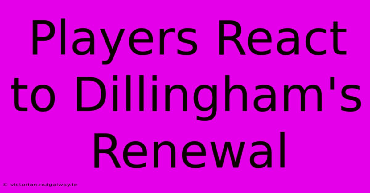 Players React To Dillingham's Renewal