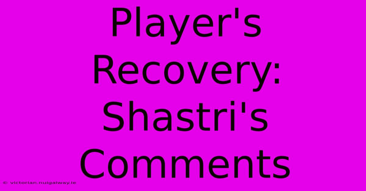 Player's Recovery: Shastri's Comments