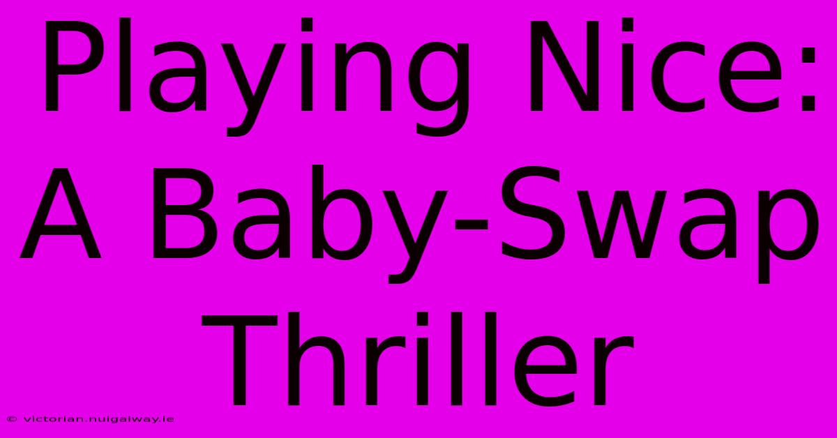 Playing Nice: A Baby-Swap Thriller