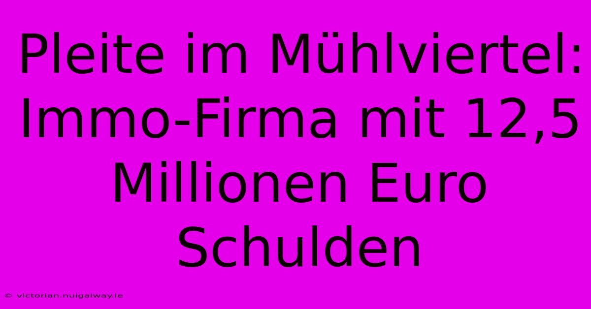 Pleite Im Mühlviertel: Immo-Firma Mit 12,5 Millionen Euro Schulden