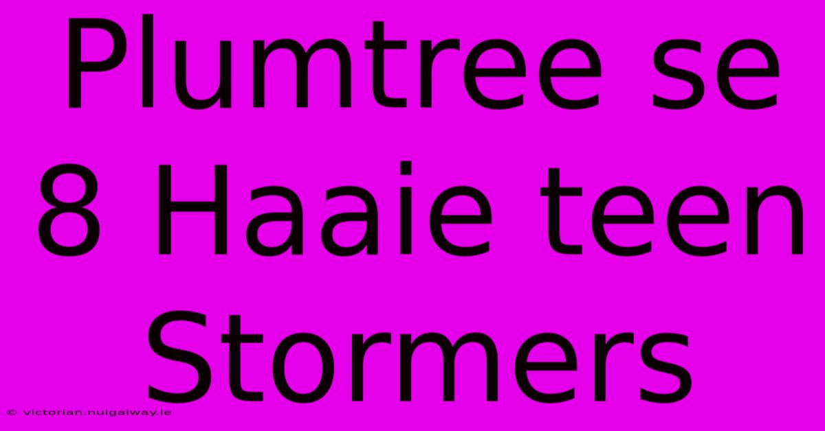 Plumtree Se 8 Haaie Teen Stormers