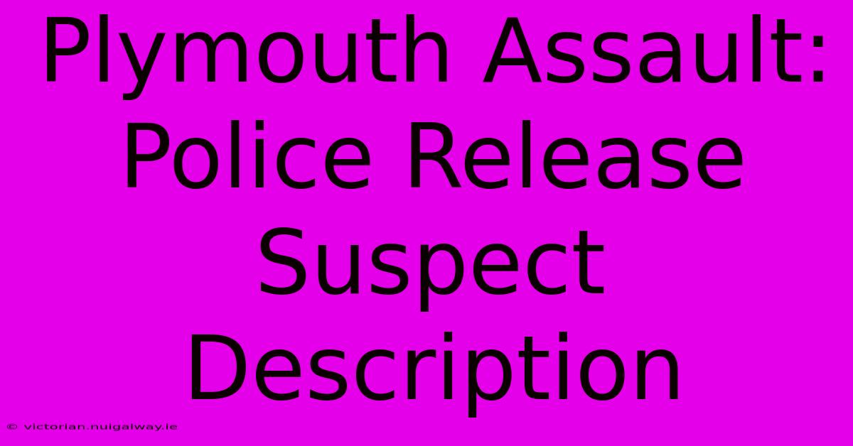 Plymouth Assault: Police Release Suspect Description